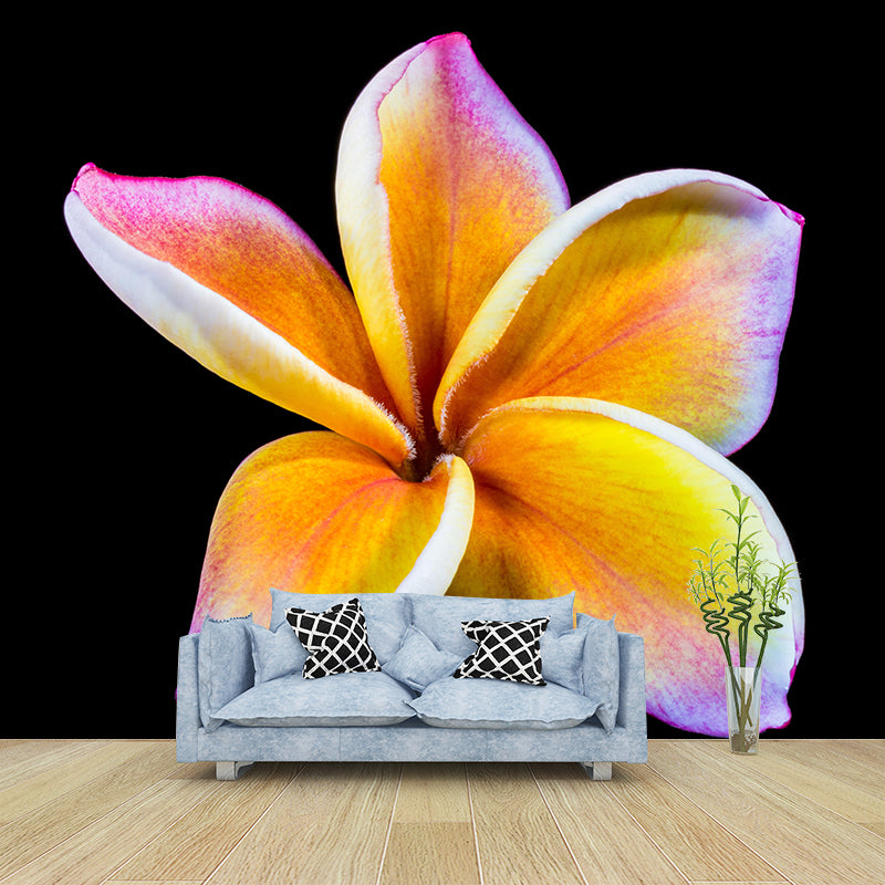Customized Plumerias Flower Wall Mural Horizontal Photography for Sleeping Room