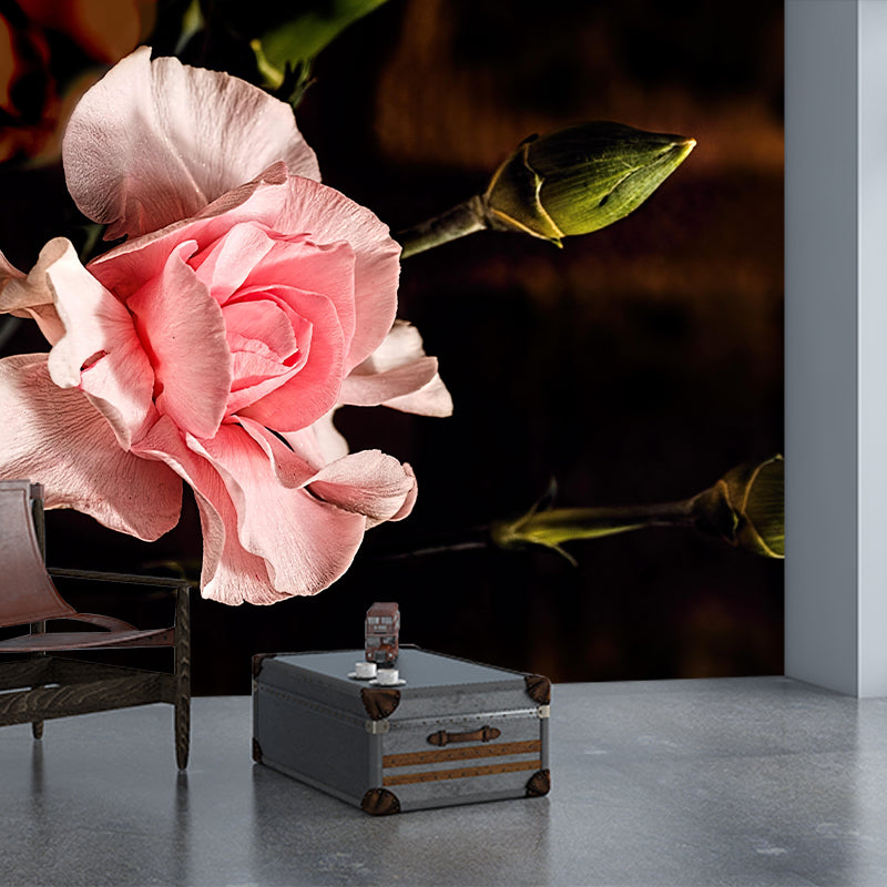 Carnation Blooming Mural Contemporary Photography for Living Room Decoration