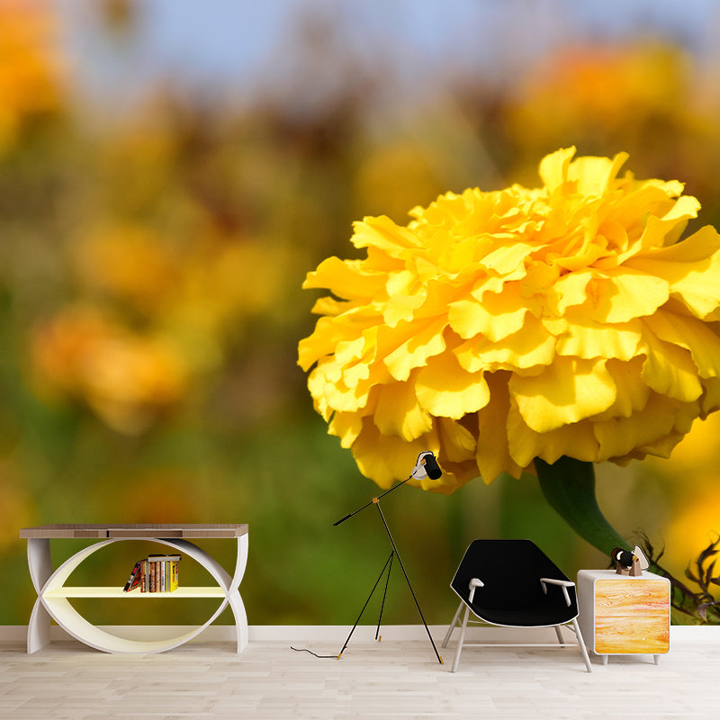 Carnation Blooming Mural Contemporary Photography for Living Room Decoration