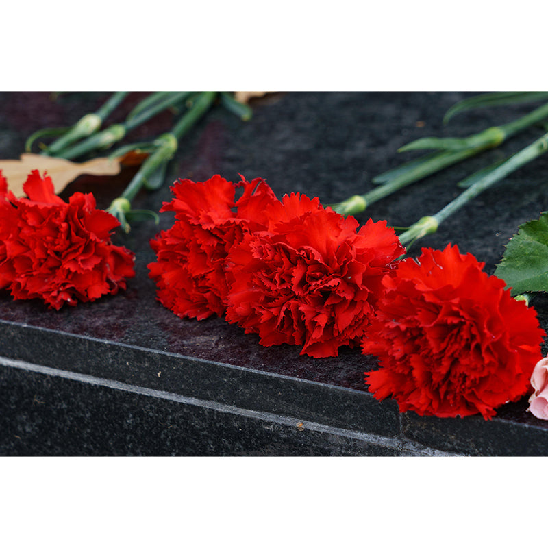 Customized Carnation Flower Wall Mural Horizontal Photography for Sleeping Room