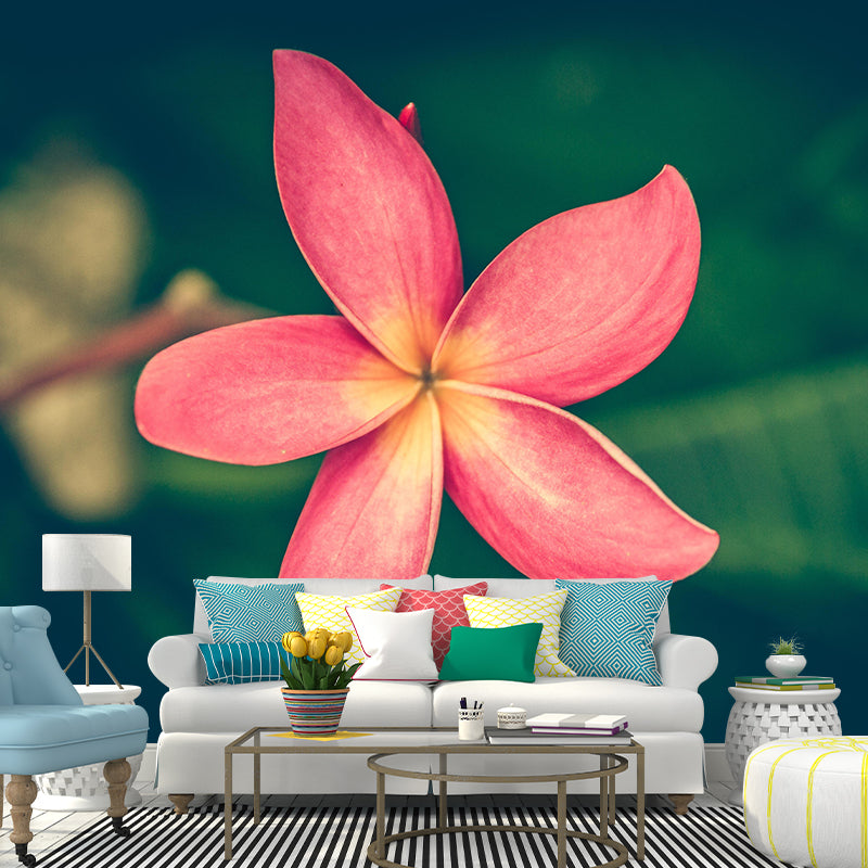 Customized Plumerias Flower Wall Mural Horizontal Photography for Sleeping Room Decoration