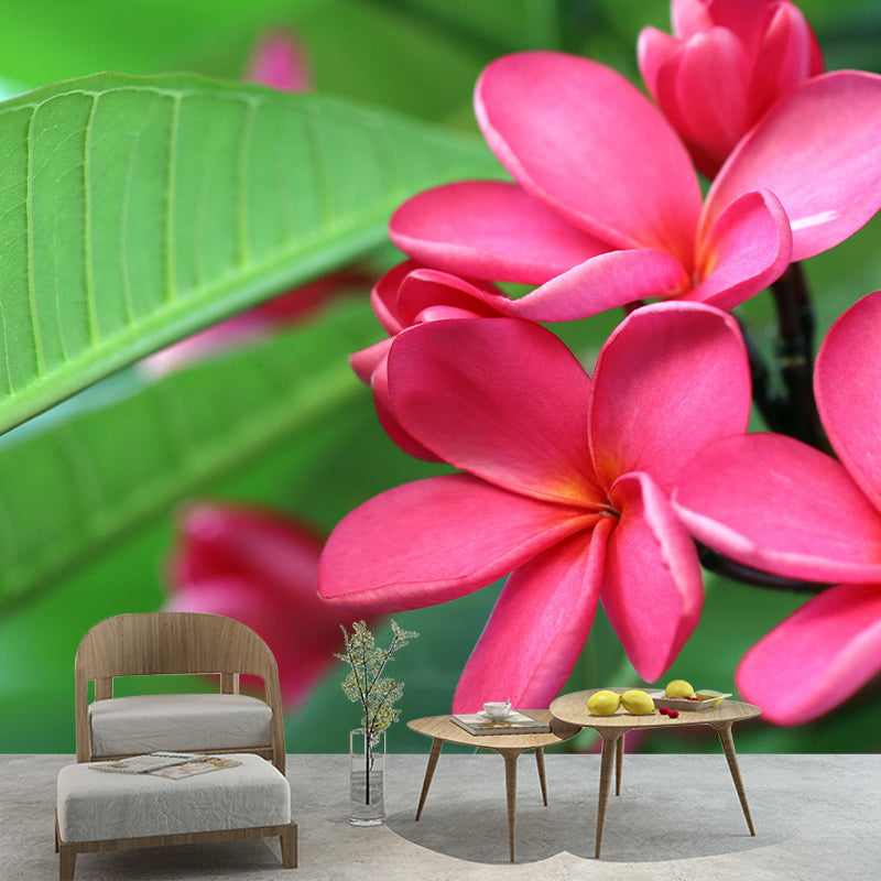 Customized Plumerias Flower Wall Mural Horizontal Photography for Sleeping Room Decoration