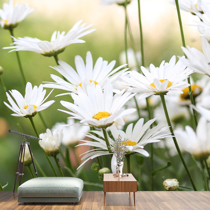 Customized Chamomile Flower Wall Mural Horizontal Photography for Sleeping Room Decoration