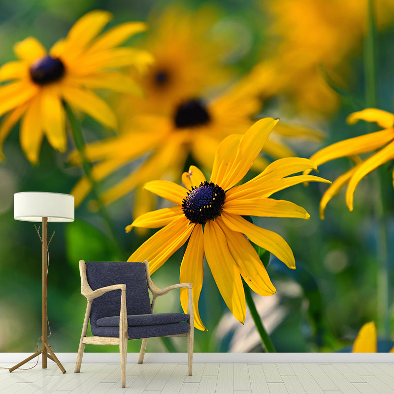 Cone Flower Blooming Mural Contemporary Photography for Living Room Decoration