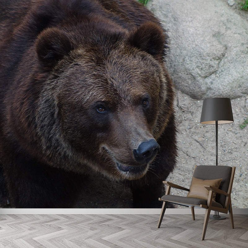 Brown Bear Wall Covering for Living Room Decor, Water Resistant, Customized Size Available