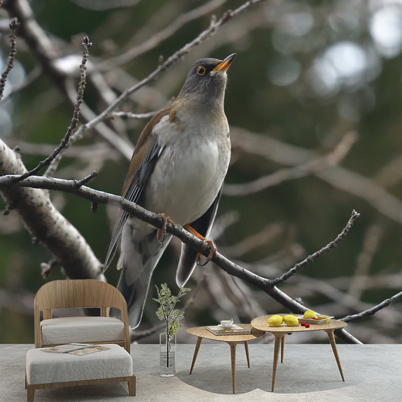 Throstle Moisture-Resistant Mural Wallpaper for Sitting Room, Customized Size Available