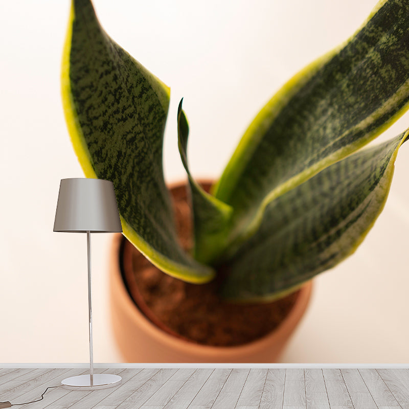 Plant Indoor Decorations Mural Wallpaper for Sleeping Room, Mildew Resistant