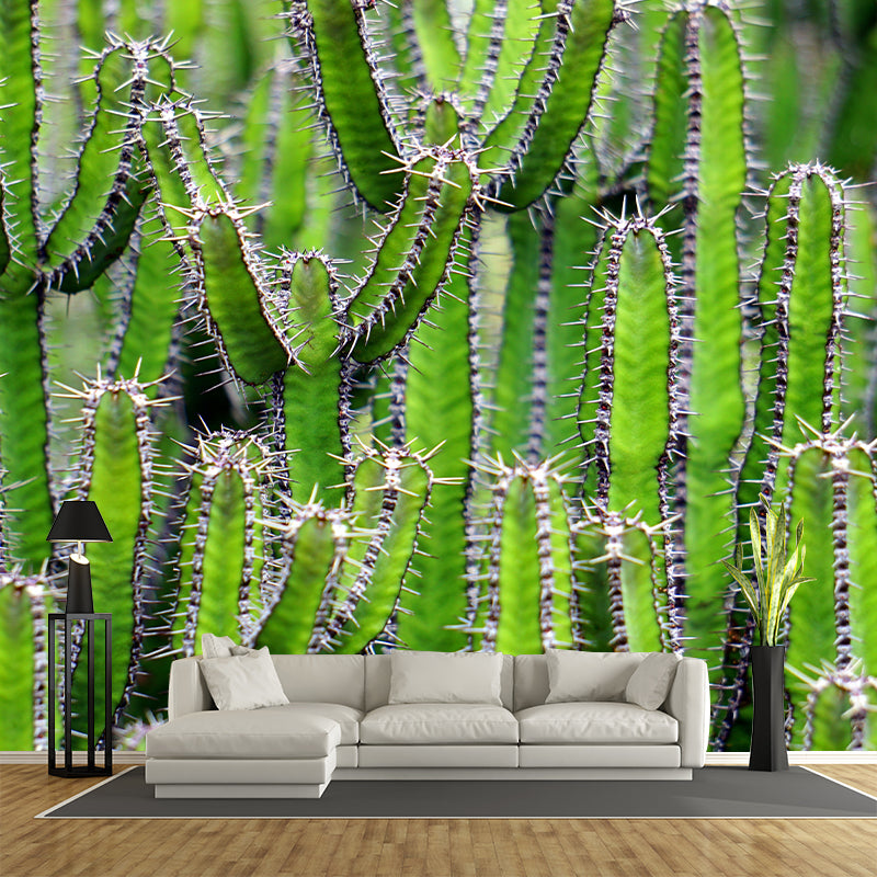 Full Size Prickly Cactus Removable Wall Mural for Reading Room, Customized Size Available