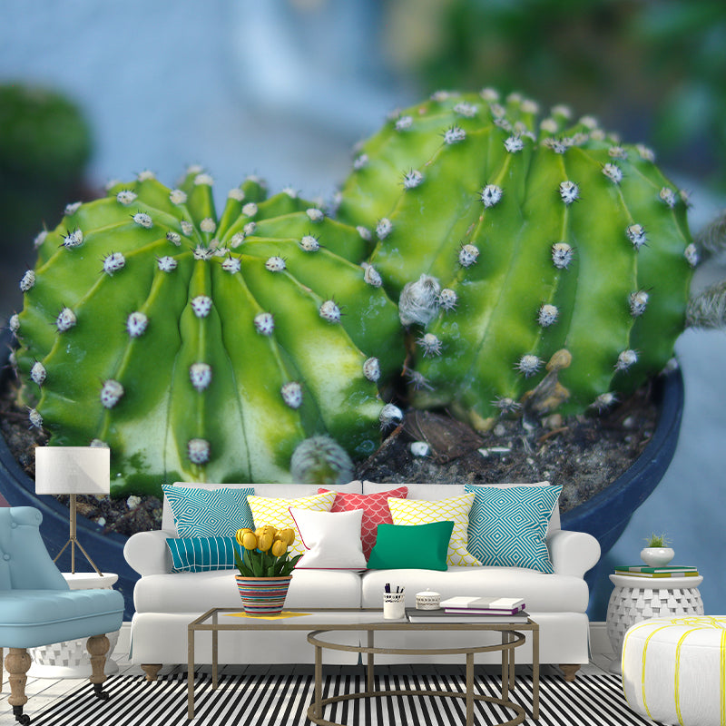 Full Size Prickly Cactus Removable Wall Mural for Reading Room, Customized Size Available