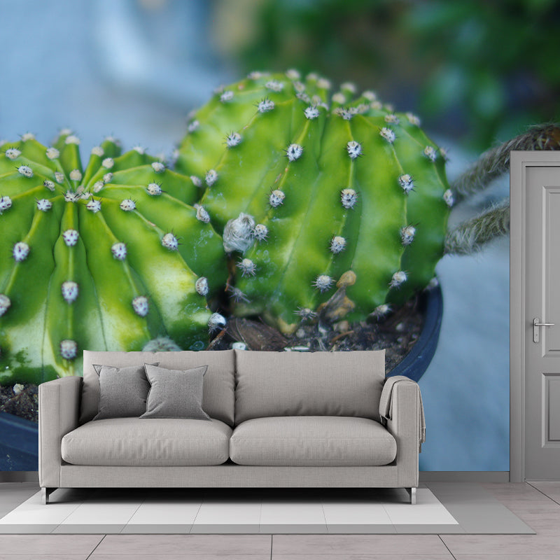 Full Size Prickly Cactus Removable Wall Mural for Reading Room, Customized Size Available