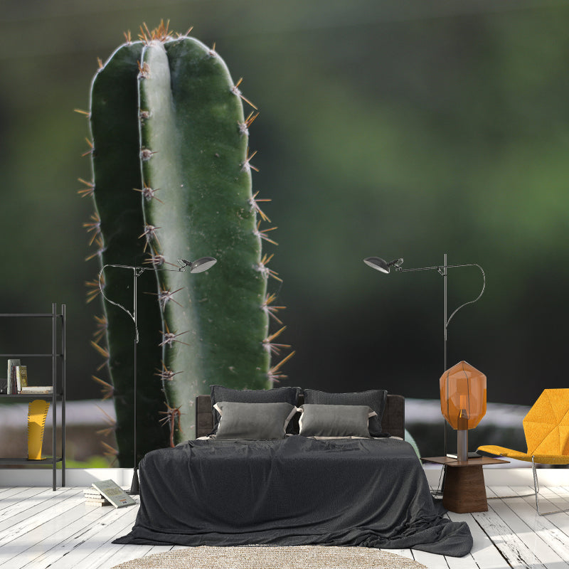 Minimalism Style Prickly Cactus Wall Mural for Reading Room, Mildew Resistant