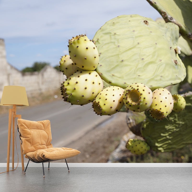 Minimalism Style Prickly Cactus Wall Mural for Reading Room, Mildew Resistant