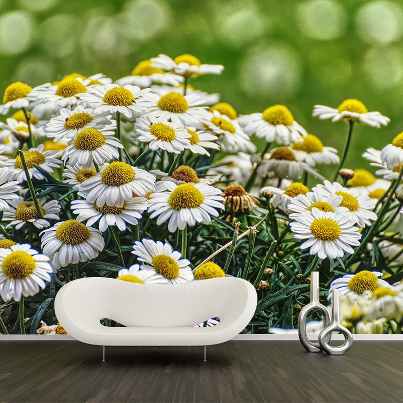 Minimalism Style Chrysanthemum Removable Wall Mural for Girls Bedroom, Customized Size Available