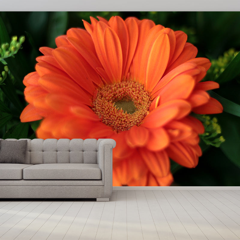 Minimalism Style Chrysanthemum Removable Wall Mural for Girls Bedroom, Customized Size Available