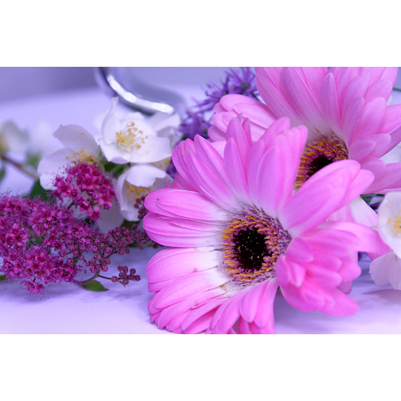 Beautiful Chrysanthemum Mural Wallpaper Customized Wall Decor for Girls Bedroom