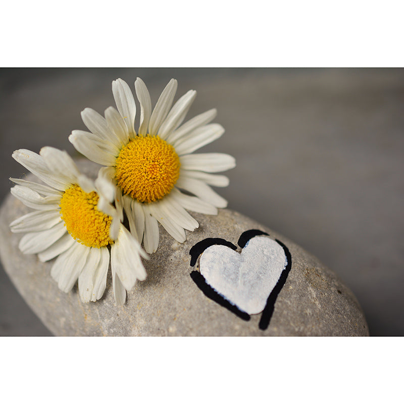 Chrysanthemum Mural Wallpaper Customized Wall Decor for Girls Bedroom, Waterproofing