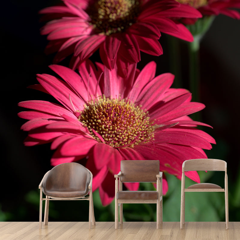 Chrysanthemum Mural Wallpaper Customized Wall Decor for Girls Bedroom, Waterproofing