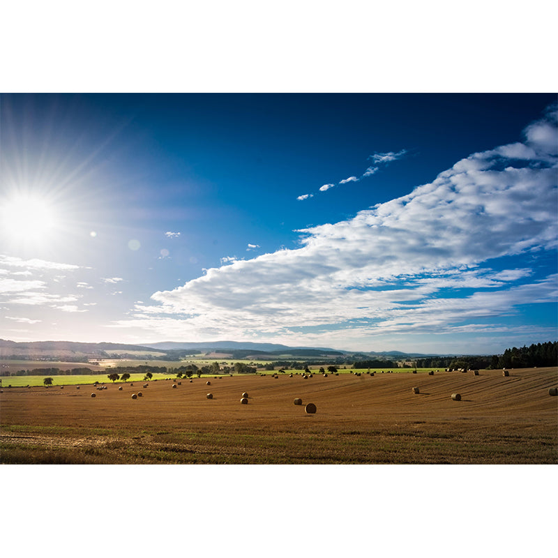 Moisture Resistant Straw Bales Mural Wall Covering for Bedroom Decoration