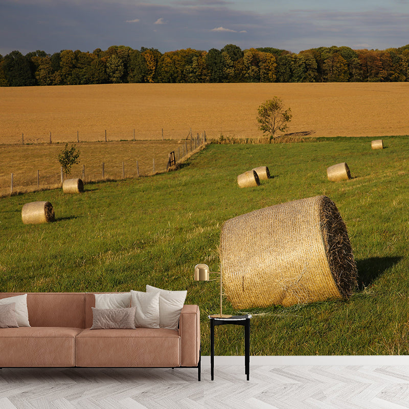 Environment Friendly Straw Bales Mural Soft Color Wall Covering for Decoration