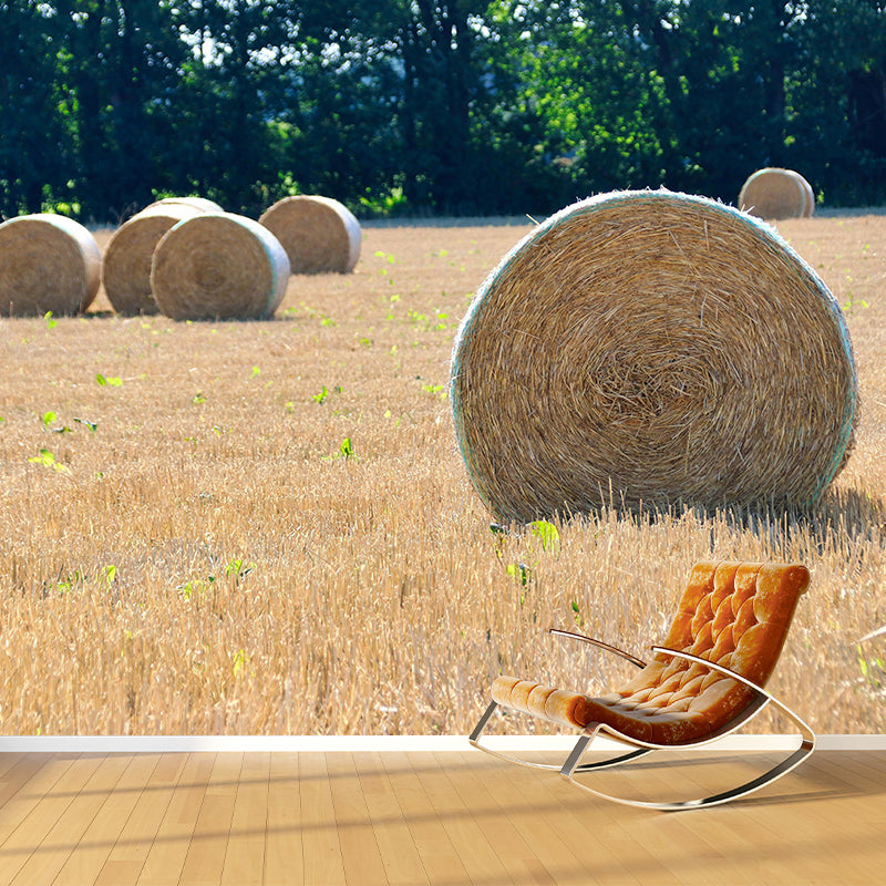 Environment Friendly Straw Bales Mural Soft Color Wall Covering for Decoration