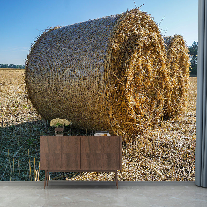 Environment Friendly Straw Bales Mural Soft Color Wall Covering for Decoration