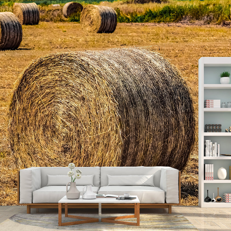Environment Friendly Straw Bales Mural Soft Color Wall Covering for Decoration