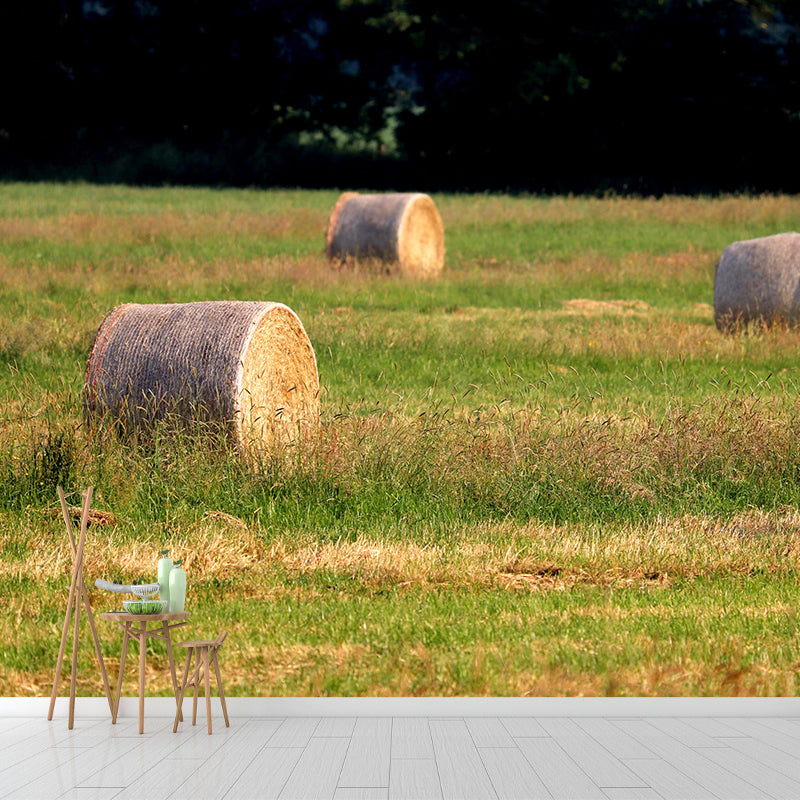 Moisture Resistant Straw Bales Mural Wall Covering for Sitting Room Wall Decor