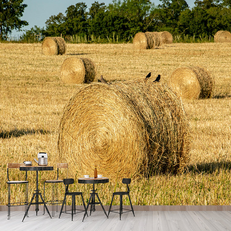 Moisture Resistant Straw Bales Mural Wall Covering for Sitting Room Wall Decor