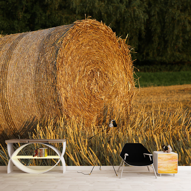 Moisture Resistant Straw Bales Mural Wall Covering for Sitting Room Wall Decor