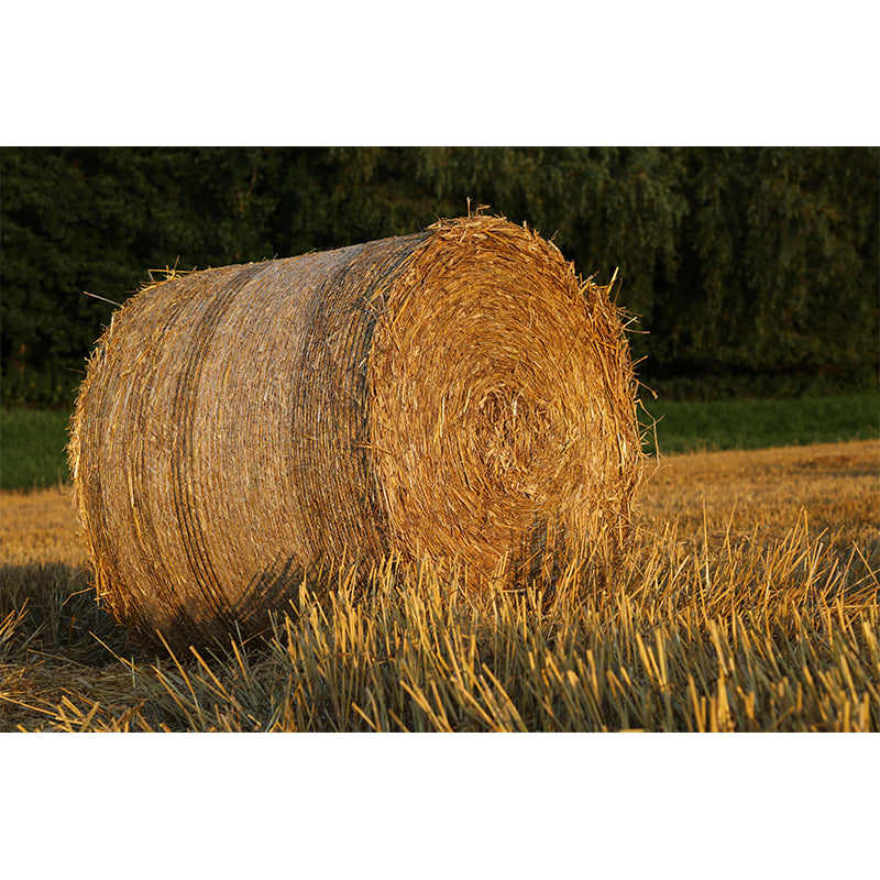 Moisture Resistant Straw Bales Mural Wall Covering for Sitting Room Wall Decor