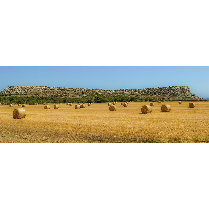 Contemporary Moisture Resistant Straw Bales Mural Wall Covering for Dining Room