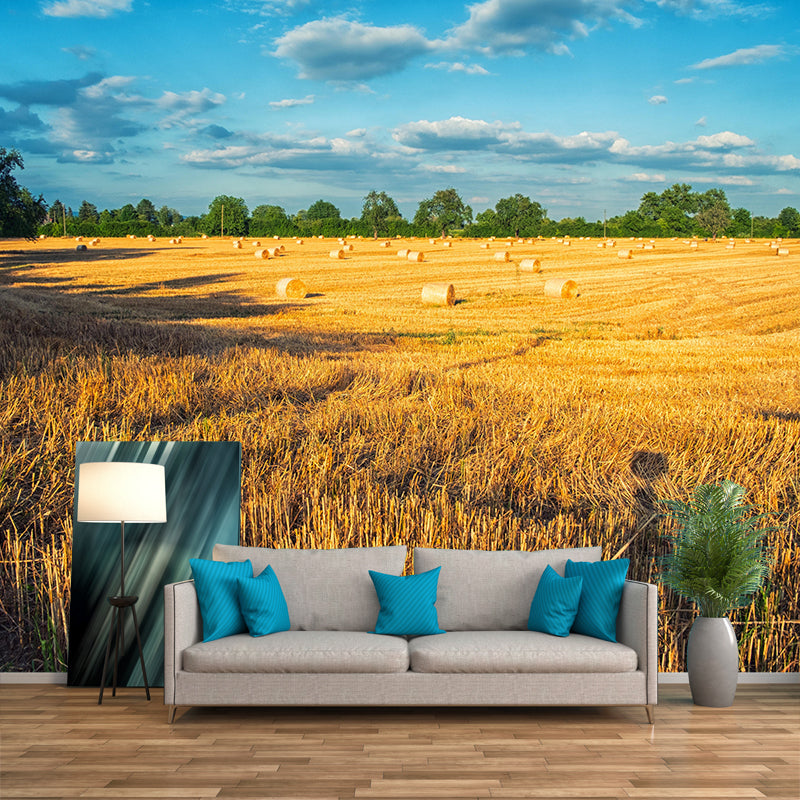 Contemporary Moisture Resistant Bales Mural Wall Covering for Decoration