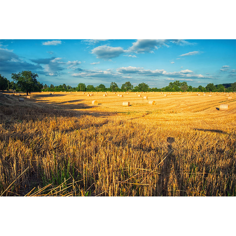 Contemporary Moisture Resistant Bales Mural Wall Covering for Decoration