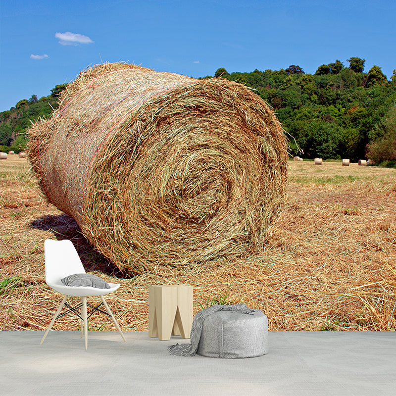 Moisture Resistant Straw Bales Mural Wall Covering for Kitchen Wall Decor