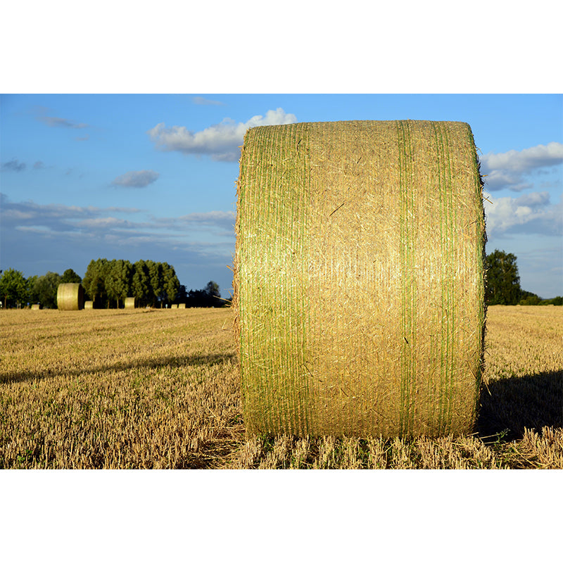 Moisture Resistant Straw Bales Mural Wall Covering for Kitchen Wall Decor