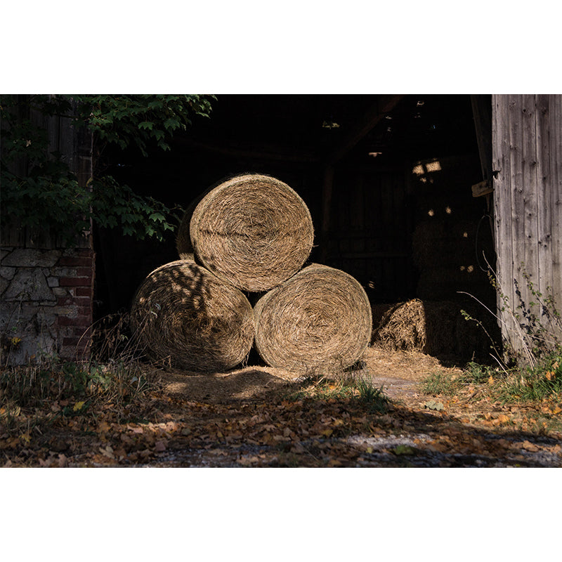 Straw Bales Mural Wall Covering Moisture Resistant for Bedroom Wall Decor