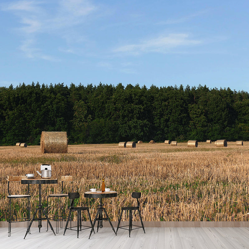 Straw Bales Mural Wall Covering Moisture Resistant for Bedroom Wall Decor