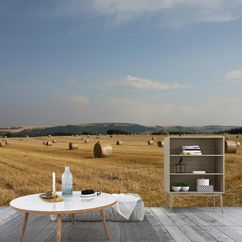 Moisture Resistant Straw Bales Mural Wall Covering for Living Room Wall Decor