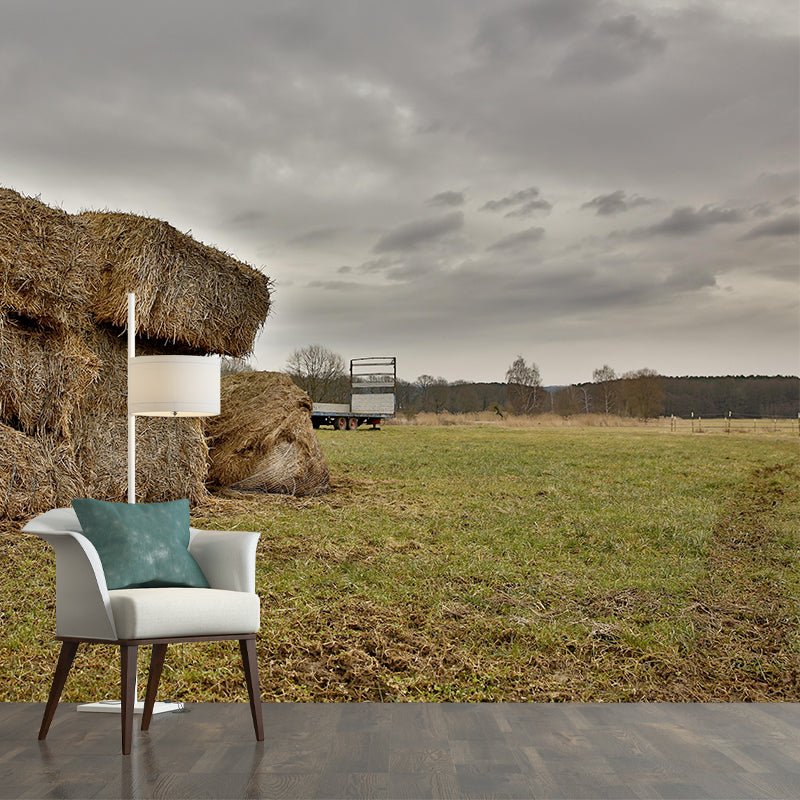 Moisture Resistant Straw Bales Mural Wall Covering for Living Room Wall Decor