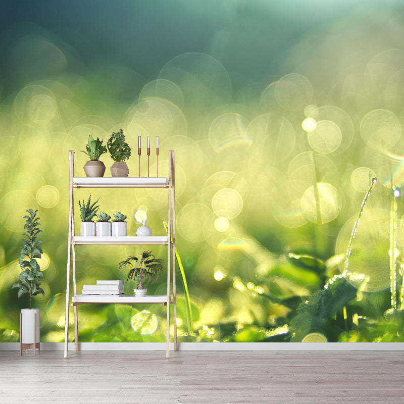 Contemporary Eco-friendly Bokeh Mural Wall Covering for Living Room Decor