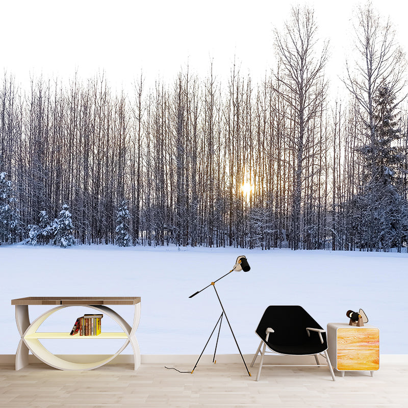 Contemporary Moisture Resistant Forest Mural Wall Covering Soft Color Wall Decor