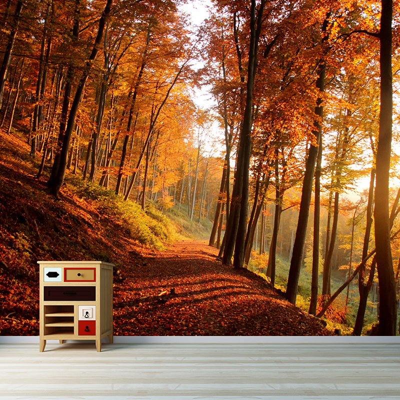 Contemporary Moisture Resistant Forest Mural Wall Covering Soft Color Wall Decor