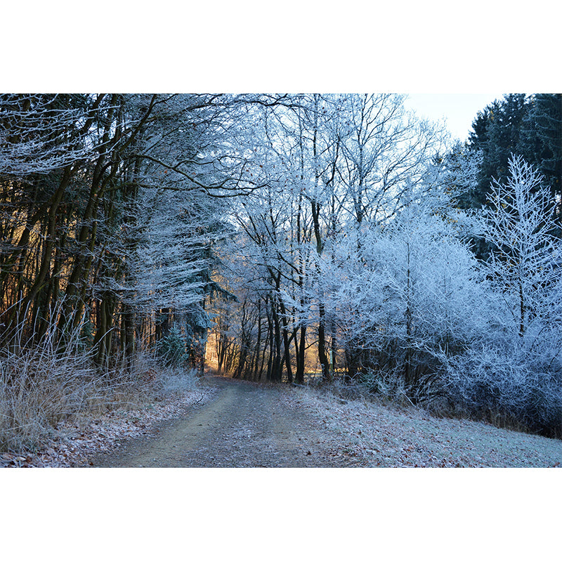 Soft Color Moisture Resistant Forest Mural Wallpaper Wall Covering