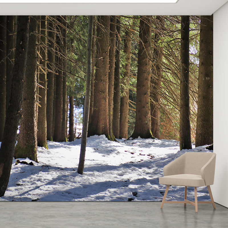Contemporary Moisture Resistant Forest Mural Wall Covering for Living Room