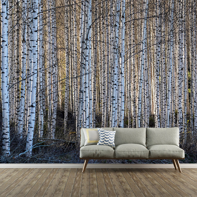 Moisture Resistant Forest Mural Wall Covering Wall Decor in Bringht Color