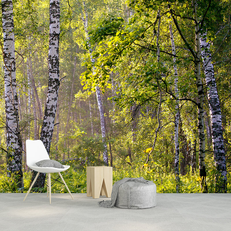 Contemporary Moisture Resistant Forest Mural Wall Covering for House Wall Decor