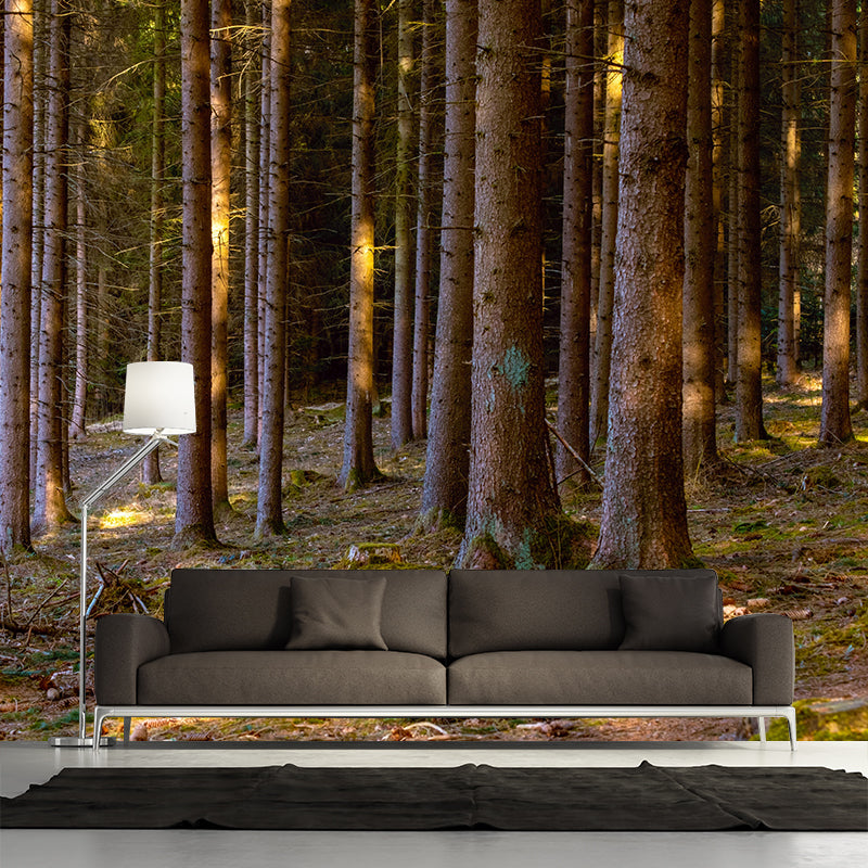 Contemporary Moisture Resistant Forest Mural Wall Covering for House Wall Decor