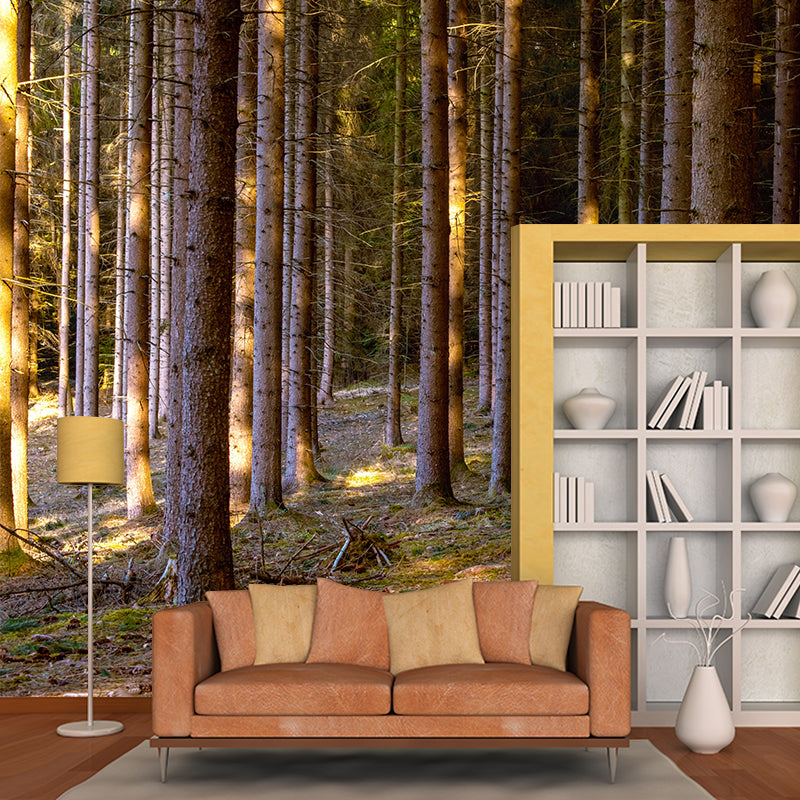 Contemporary Moisture Resistant Forest Mural Wall Covering for House Wall Decor