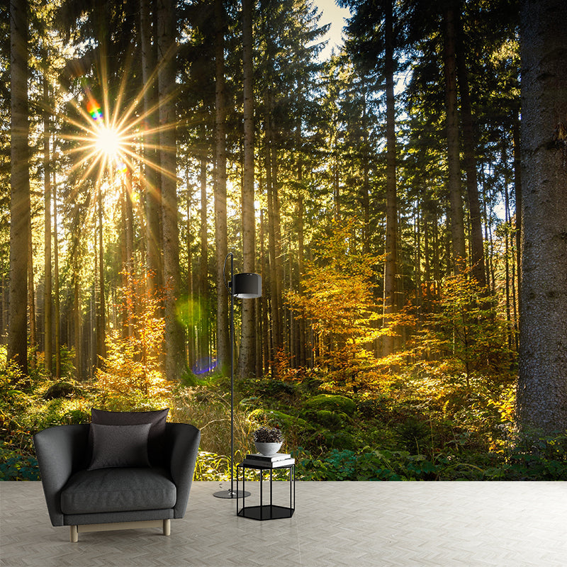 Contemporary Moisture Resistant Forest Mural Wall Covering for Kitchen Wall Decor