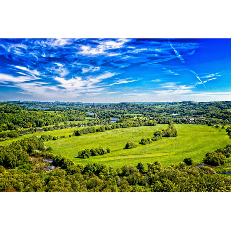 Forest Moisture Resistant Mural Wall Covering for Bedroom Wall Decor